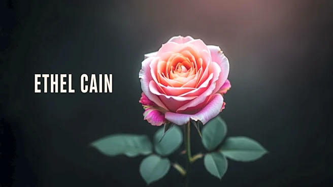 Ethel Cain's Music Explores Queer Grief and Identity