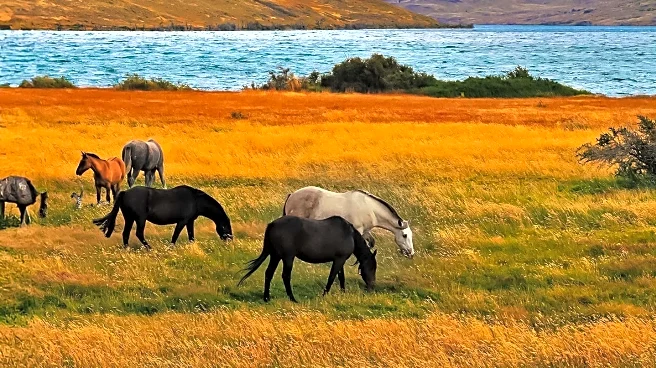 Patagonia's Vast Wilderness and Cultural Heritage Explored