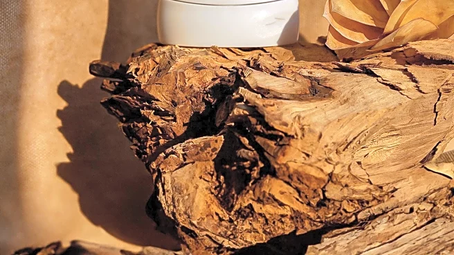 Natural Deodorant Ingredients: A Guide to Healthier Choices