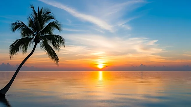 Hawaii Governor Josh Green Discusses Political Journey and Leadership Challenges