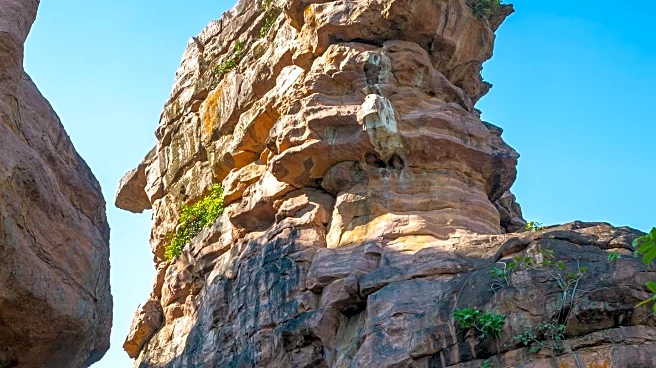 New Study from University of Pennsylvania Reveals Red Blood Cells' Role in Clot Formation