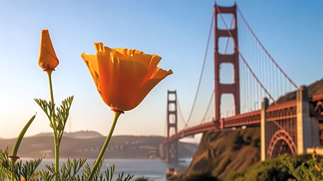 California Governor Appoints Laphonza Butler to U.S. Senate Following Feinstein's Passing