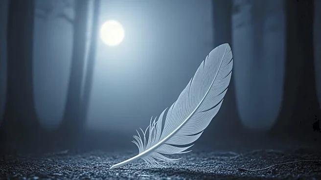 Willow Nightingale Set to Make History in AEW's Anarchy in the Arena Match