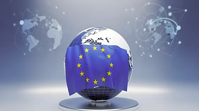 European Council on Foreign Relations Advocates for EU Defense of Liberal International Order