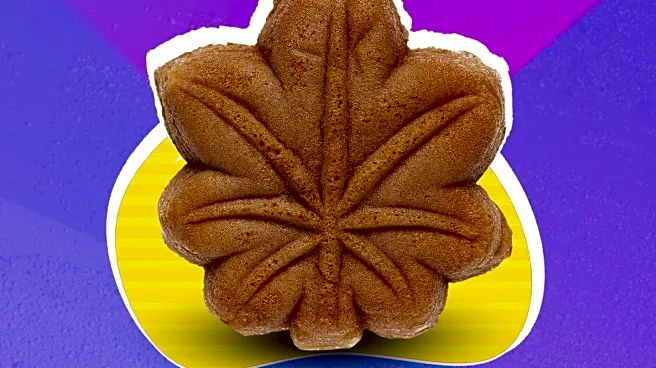 Maple Compound Epicatechin Gallate Blocks Tooth Decay Bacteria, Offering Safer Oral Care