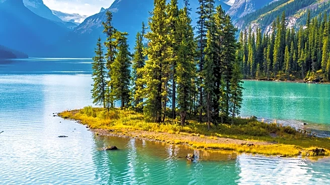 Strathcona Park Offers Diverse Nature Walks for Outdoor Enthusiasts