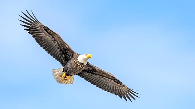 Senator Chris Van Hollen's Political Journey from Maryland to U.S. Senate