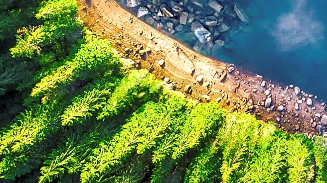 Skyhook Adventure Offers Comprehensive Guide to Kayaking for Beginners