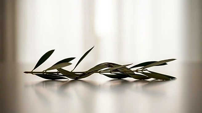 Ethiopian Government and TPLF Sign Peace Agreement Ending Two-Year Conflict