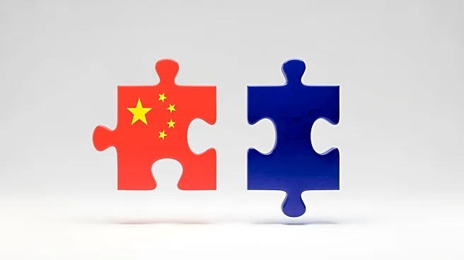 Taiwan's Economic Ties to China: Navigating Coercion and Codependence