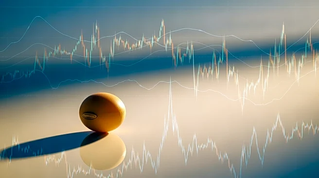 Soybean Prices Rise Amid Market Hesitation Over Chinese Trade Agreement