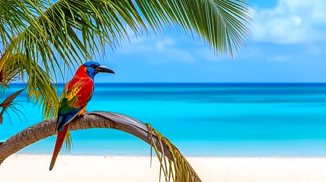 Caribbean Tourism Organization Appoints Taraneh Azimi to Enhance Brand and Partnerships