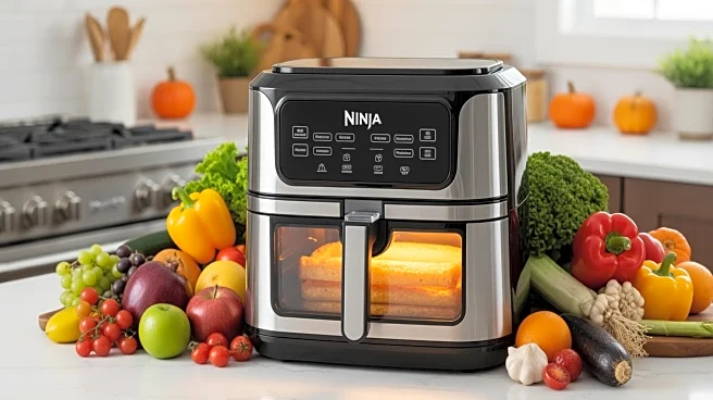 Amazon Offers Major Discounts on Ninja Air Fryers Ahead of Thanksgiving