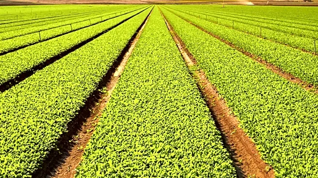 Heritage Agriculture Recognized as Climate Solution by FAO