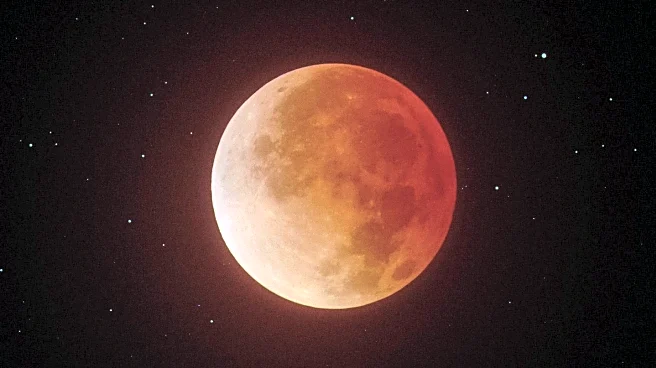 Scientists Discover New Blood Group System After Decades of Research