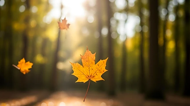 Canadian Dollar Weakens Amid Fed's Interest Rate Speculations