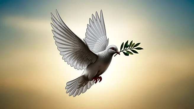 Israel Returns Bodies of 30 Palestinians Amid Gaza Ceasefire Efforts