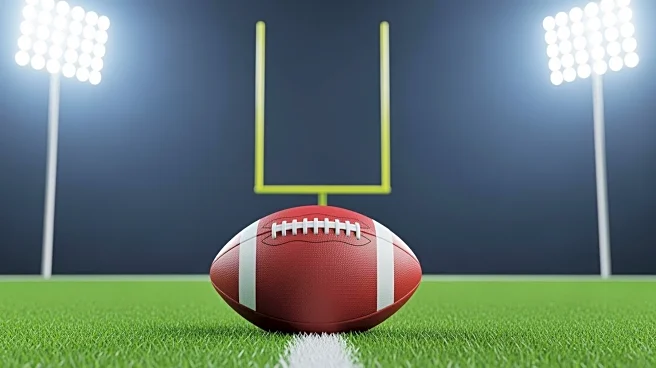 Miami Dolphins Utilize Riley Patterson as Kicker Due to Jason Sanders' Injury