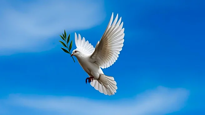 South Korea Prepares to Accept North Korean POWs Captured by Ukraine