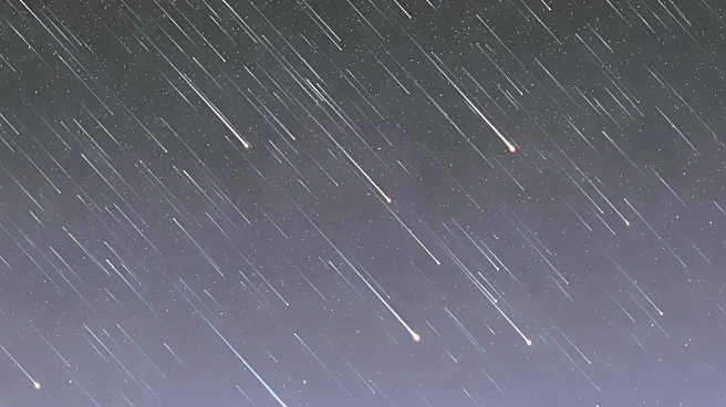 Meteor Showers Illuminate November Skies, Offering Spectacular Viewing Opportunities