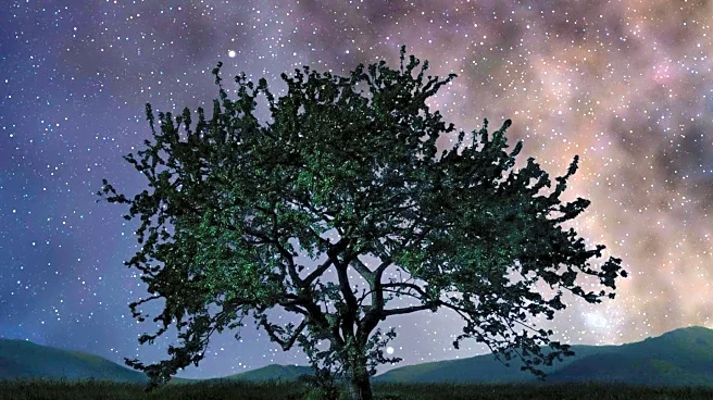 November's Beaver Supermoon and Meteor Showers to Dazzle Skywatchers