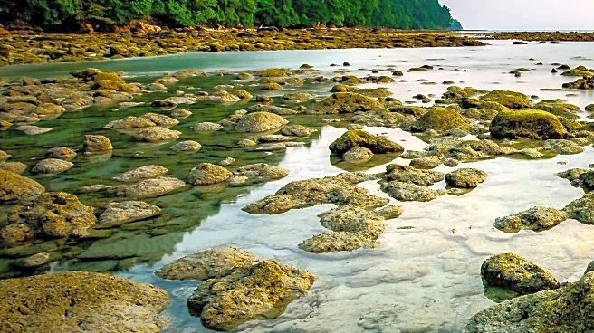 Supermoon Event on November 5 Expected to Impact Coastal Tides