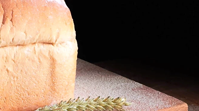 Health Risks from Toxic Elements in Iranian Bread Highlighted by Study