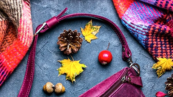 Fashion Industry Highlights Affordable Fall Accessories for Style Transformation