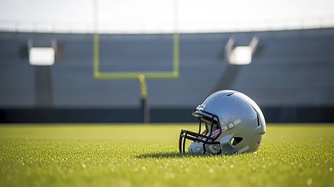 Robert Griffin III's 2013 Knee Injury and Its Impact on His NFL Career