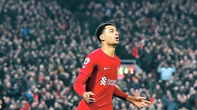 Cody's Caravan Explores Musical Treasure Trove in Grass Valley