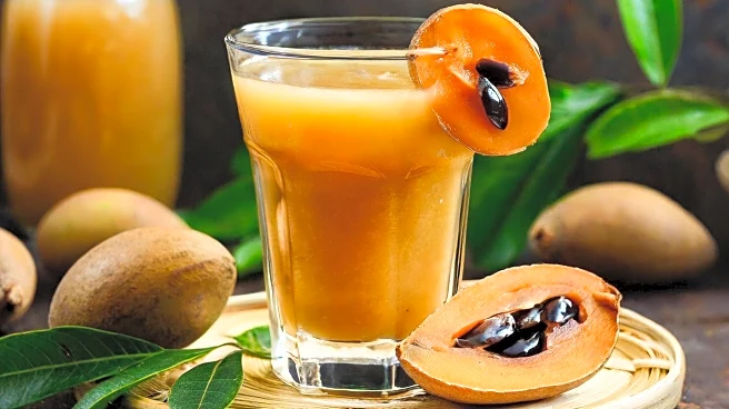 Chikungunya Virus: Understanding Its Transmission and Impact