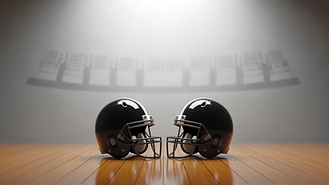 Buffalo Bills Fans Criticized for Reaction to Travis Kelce's Injury