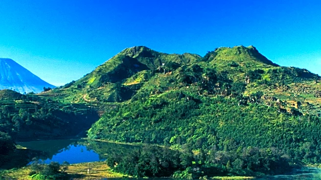 FDA Warns Against Risks of Radiofrequency Microneedling Treatment