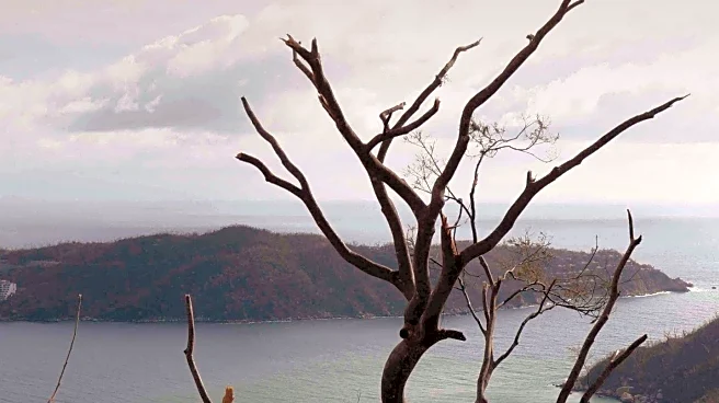 Sheffield Bar Owner Appeals for Aid Supplies for Jamaica After Storm Melissa