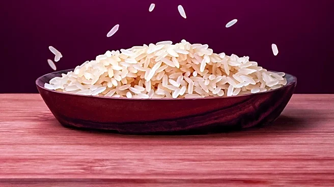 Heavy Metal Contamination in Iranian Rice: Public Health Concerns