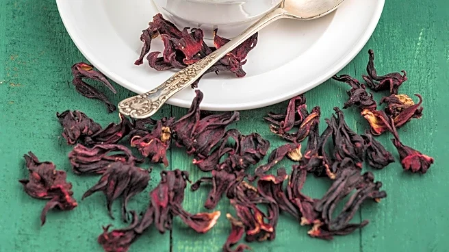 Hibiscus Tea and Other Herbal Teas Linked to Lower Cholesterol and Heart Health