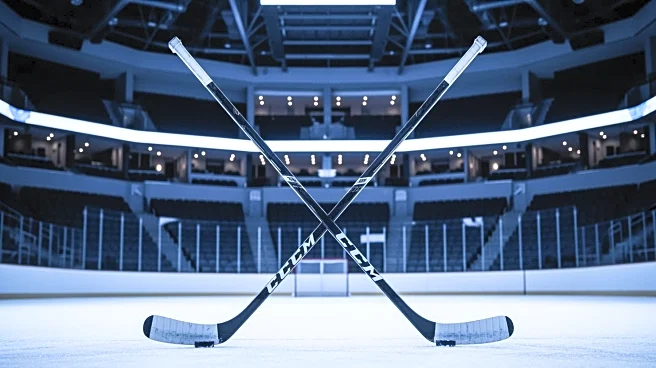 Utah Mammoth Face Challenges and Opportunities in Upcoming NHL Week