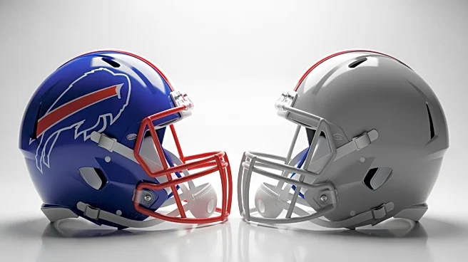 Bills Fans Criticized for Reaction to Travis Kelce's Injury