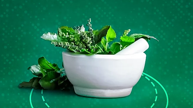 Wellness Influencers Criticized for Promoting Unverified Health Claims