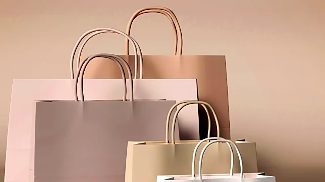 Shopping Addiction Highlighted Amidst Seasonal Sales Frenzy