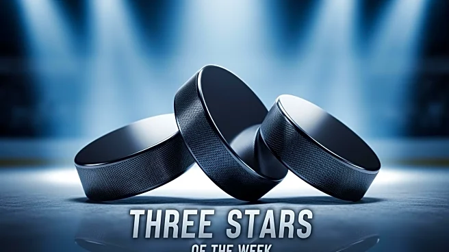 NHL Names Lukas Dostal, Drake Batherson, and Philipp Kurashev as 'Three Stars' of the Week