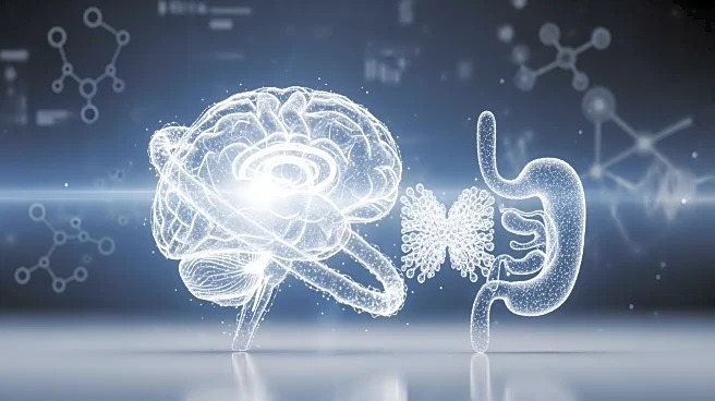 Timeline Expands Longevity Research with New Clinical Trials on Immune and Brain Aging