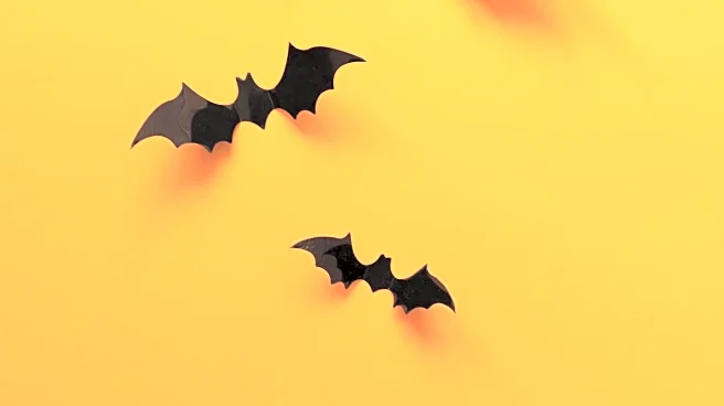 Northridge Neighborhood Transforms for Halloween with Elaborate Decorations