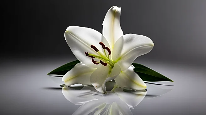 Reese Witherspoon Reflects on Challenging SNL Hosting Experience Post-9/11