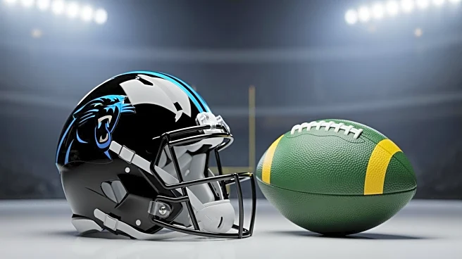 Carolina Panthers Overcome Odds to Defeat Green Bay Packers, Highlighting Key Players
