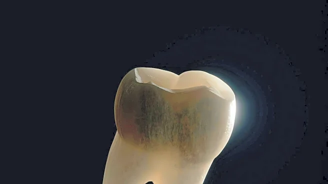 University of Nottingham Develops Gel to Repair Tooth Enamel, Offering New Treatment Possibilities