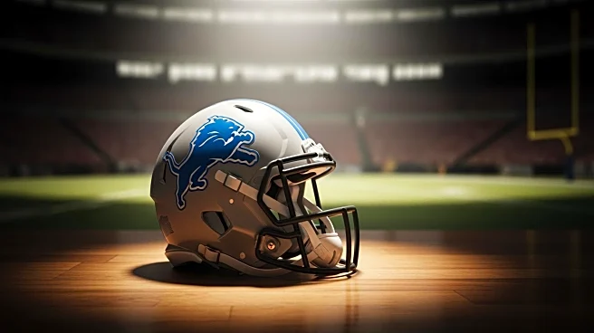 Detroit Lions' Playoff Hopes in Jeopardy After Loss to Vikings
