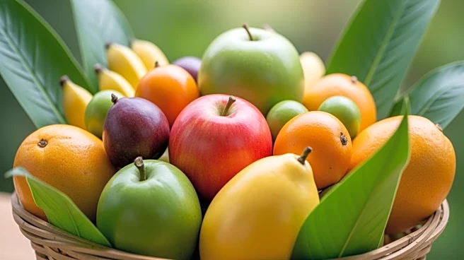 IICA Establishes Emergency Fund to Support Caribbean Agriculture Post-Hurricane Melissa