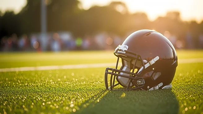 Arizona Cardinals' Michael Carter Faces Limited Role Amidst Crowded Running Back Depth