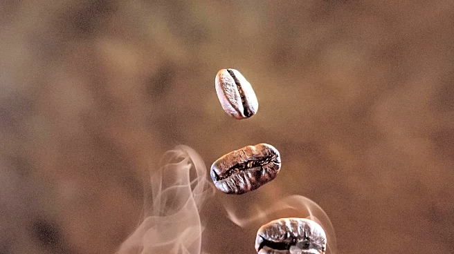 Judith Cafe in Dubai Offers $980 Cup of Coffee Using Rare Panamanian Beans